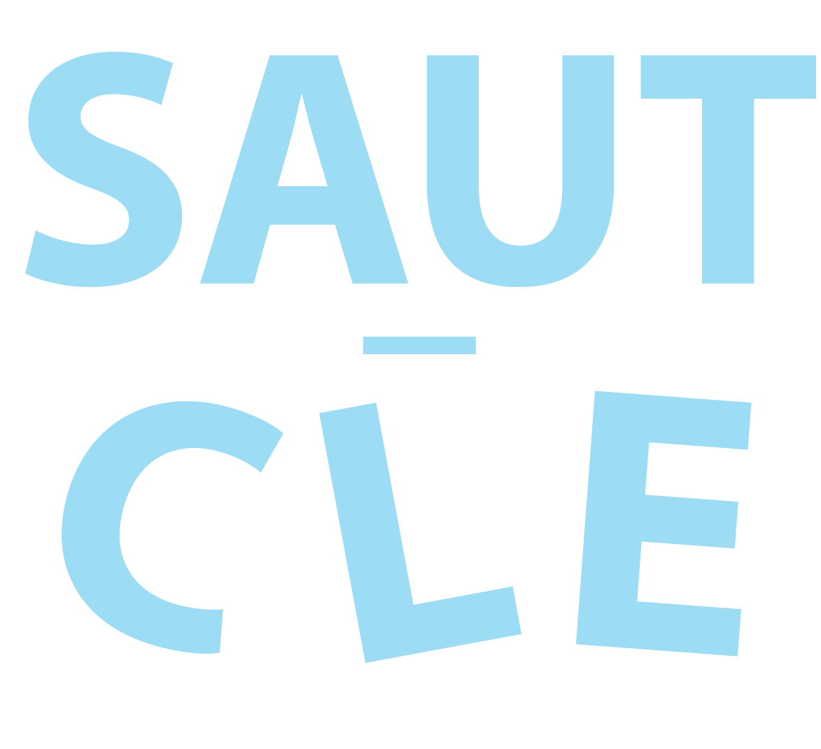 SAUT logo_photo